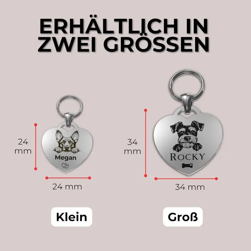 Zwei herzförmige Hundemarken aus Edelstahl mit Gravur und QR-Code für personalisierte Hundemarke